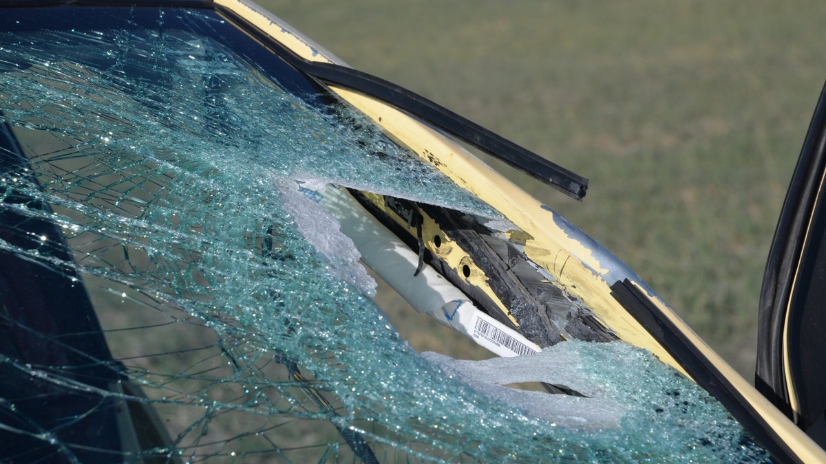 Alexa Bartell's windshield 