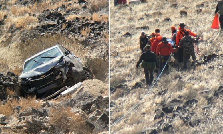 Elderly woman ‘miraculously’ rescued after car careened down ravine, leaving her stranded for 4 days