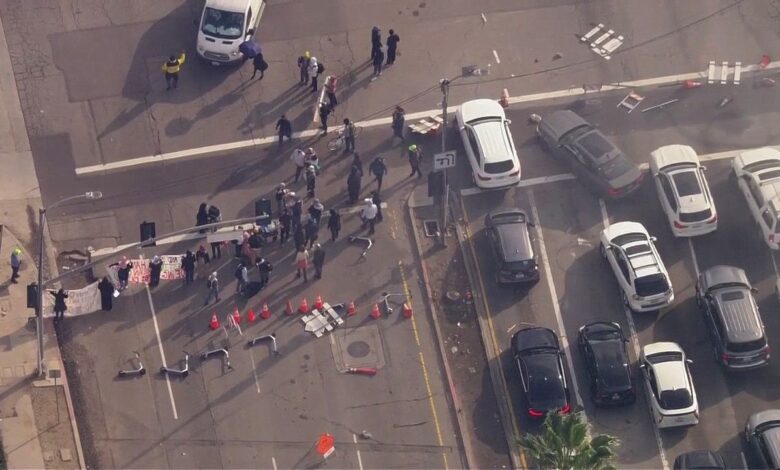 Pro-Palestinian protesters block main entrance to LAX on busy travel day, cops making arrests