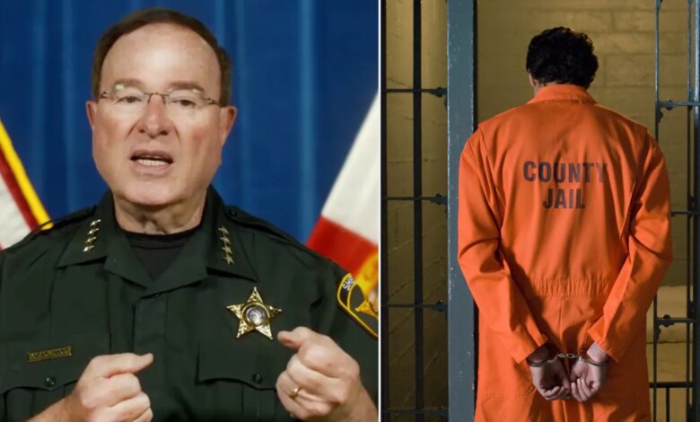 Florida sheriff warns squatters he will be their 'worst enemy' and has a place for them in jail