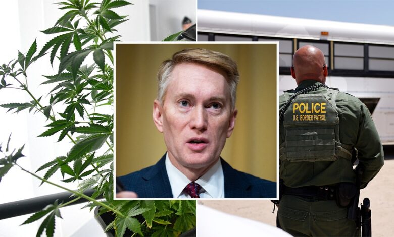 GOP senator highlights security threat in Border Patrol's weakened drug use standards