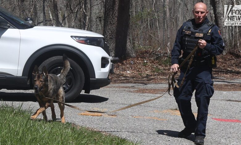 New York police search of Long Island forest could be linked to Gilgo Beach murders