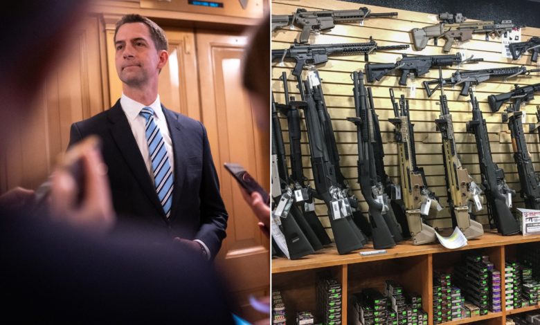 Republicans team up to defeat longtime 'restriction' targeting gun owners: 'Violation of the Second Amendment'