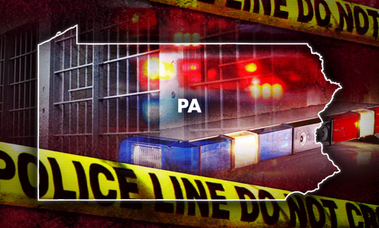 Pennsylvania woman gets 4 to 8 years for shooting county prosecutor