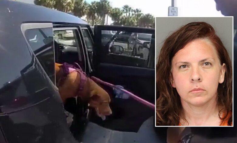 Nashville woman arrested after Florida police rescue her dog from hot car parked at beach