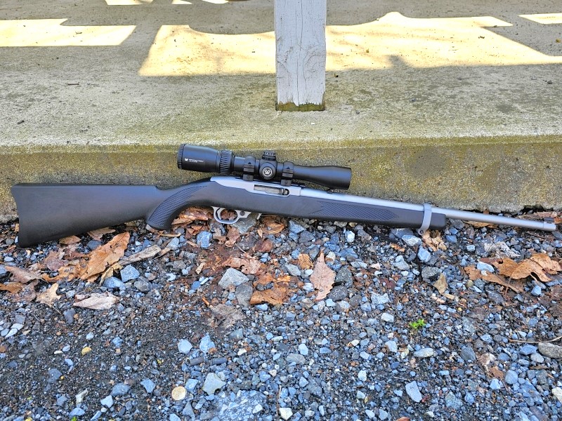 Ruger 10/22 All Weather with Vortex scope.