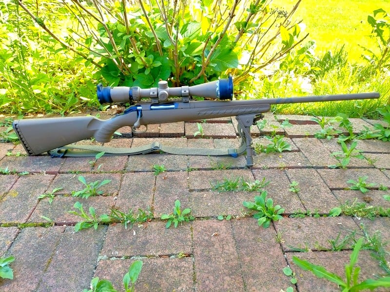 Ruger American Predator.