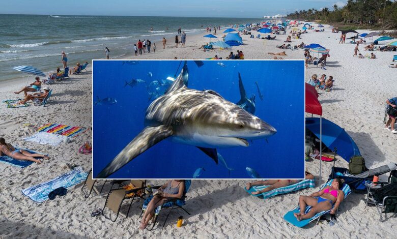 Florida beach vacation hotspot closed after back-to-back shark attacks