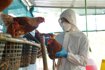 Germany Reports H7N5 Bird Flu Outbreak