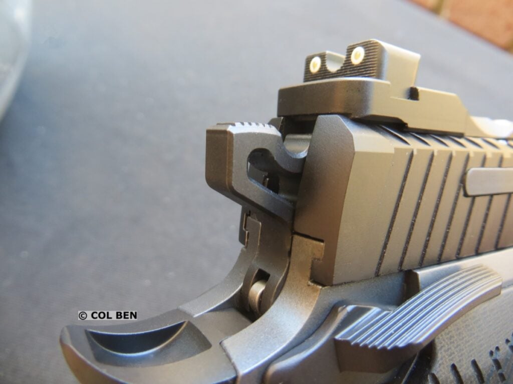 Kimber KDS9c Rail Rear Sights