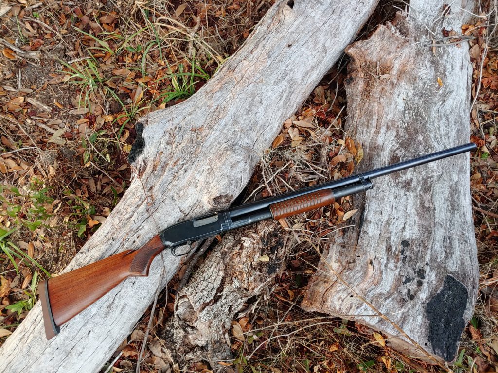 winchester model 12 top down