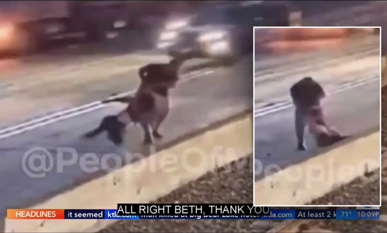 Chilling video captures woman dragged off train track, thrown into traffic on freeway in California