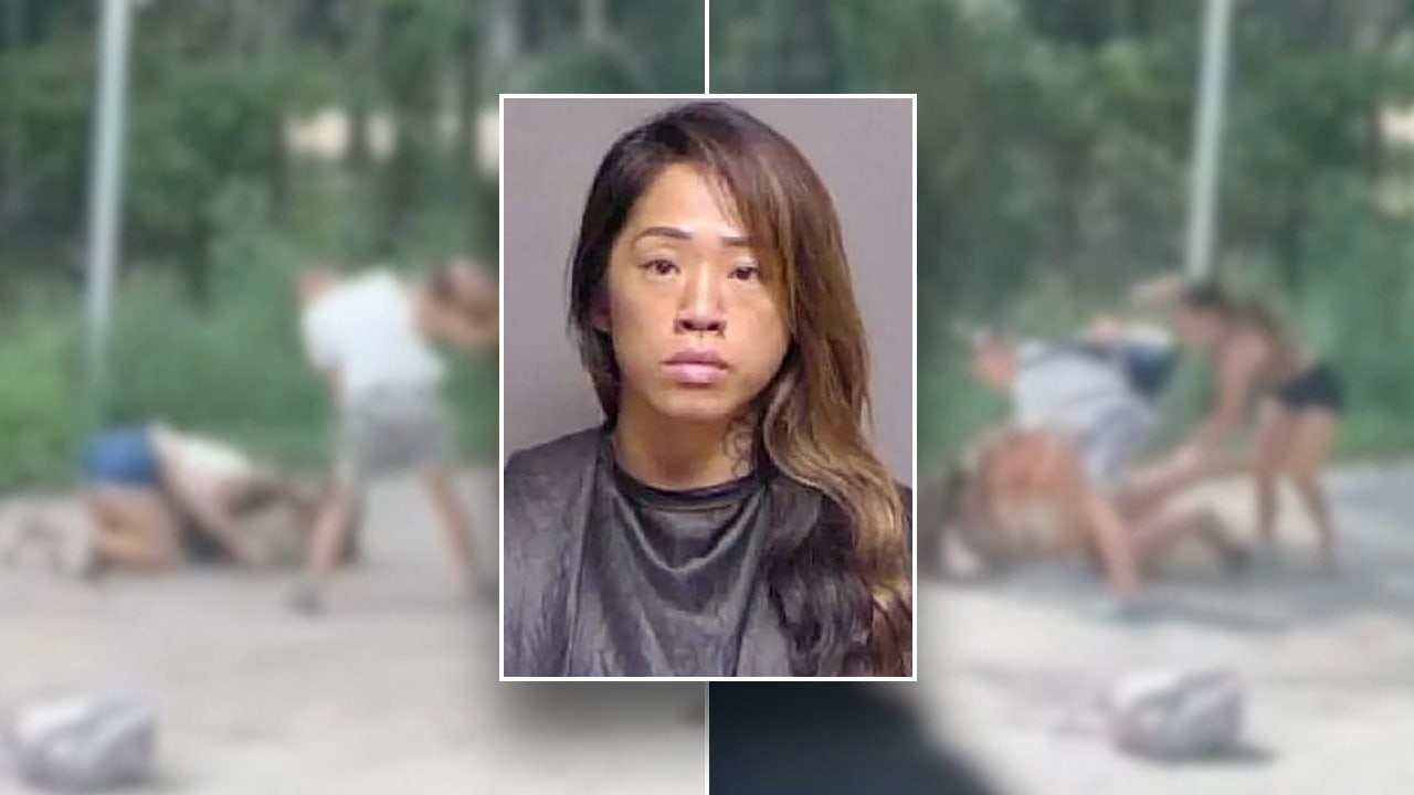 Florida High School Mom Arrested For Allegedly Joining Daughters Bus Stop Fistfight In Video 9620