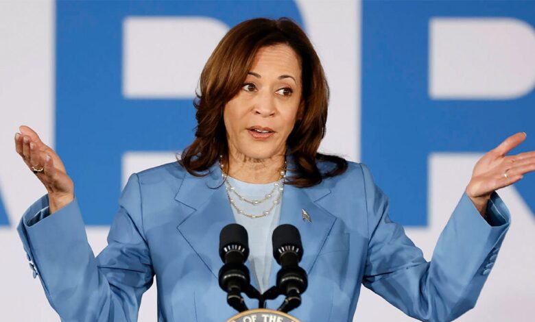 DNC paints Harris as ‘law and order’ standard-bearer as past comments on ‘militarization of police’ resurface