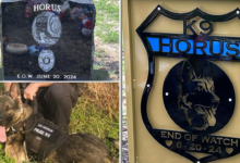 Missouri police officer charged in death of K-9 officer left in hot car