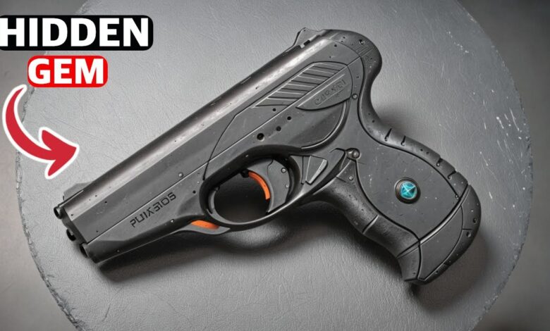 5 MIND-BLOWING Underrated Guns Revealed!