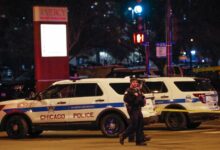 Chicago gangs clash with Venezuelan Tren de Aragua members: ‘Blacks against migrants’