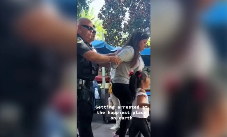 Woman arrested at Disneyland for failing to show ID: video