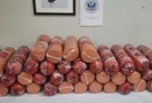 Woman caught smuggling more than 700 pounds of bologna at southern border: CBP