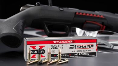 First Look: Winchester 21 Sharp Rimfire Cartridge