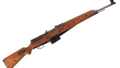 Gewehr 43: The Road To Germany’s Garand