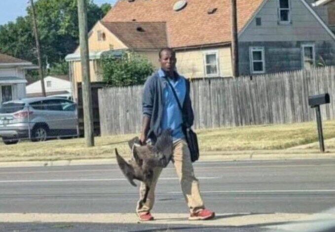 Residents Of Springfield Ohio Beg For Help After 20,000 Haitians Overwhelm City, Eat Local Wildlife