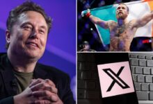 Ireland scraps controversial hate speech measures following criticism by Elon Musk, Conor McGregor