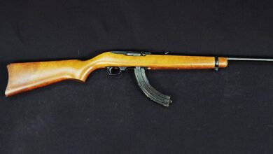 The Fighting 10/22? A Primer On Rimfire Carbines