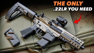 10 Incredible .22 LR Rifles & Pistols You Can Buy Right Now – Best .22 Guns!