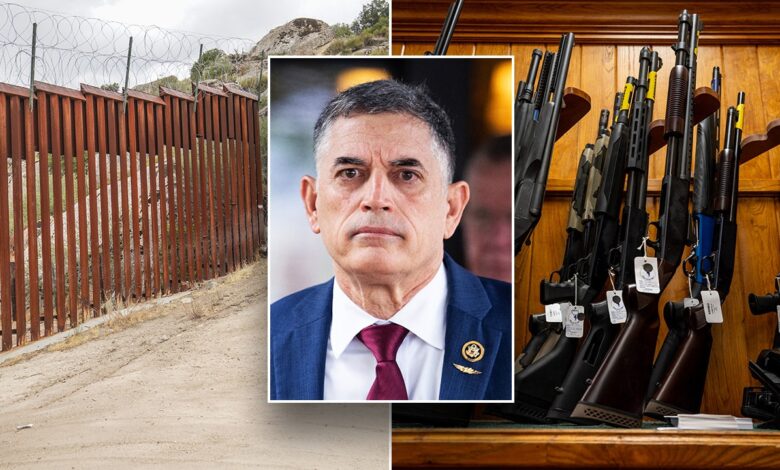 'No guns for illegal aliens' bill rolled out by House GOP lawmaker