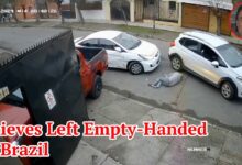 Thieves Left Empty-Handed In Brazil