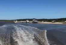 At least 7 people killed after Georgia ferry dock gangway collapse: officials