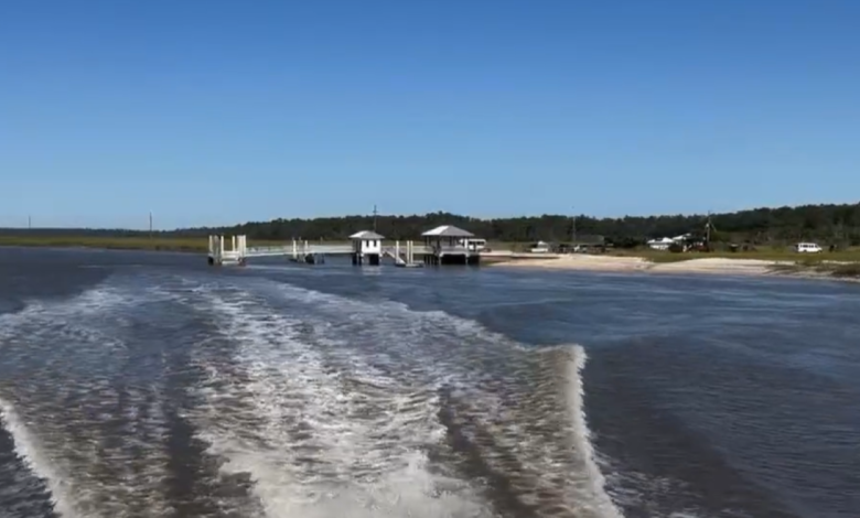 At least 7 people killed after Georgia ferry dock gangway collapse: officials