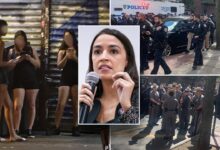 Groups rallying against police crackdown on prostitution in AOC's 'Red Light' district