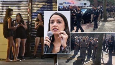 Groups rallying against police crackdown on prostitution in AOC's 'Red Light' district