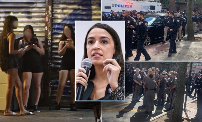 Groups rallying against police crackdown on prostitution in AOC's 'Red Light' district