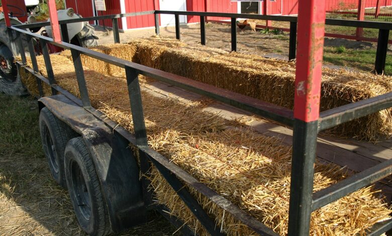 New Jersey family-friendly hayride event dissolves into chaos after hundreds of teens wreak havoc: police