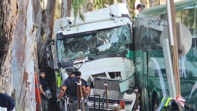 Truck ramming attack near Israeli army base injures dozens; suspect killed