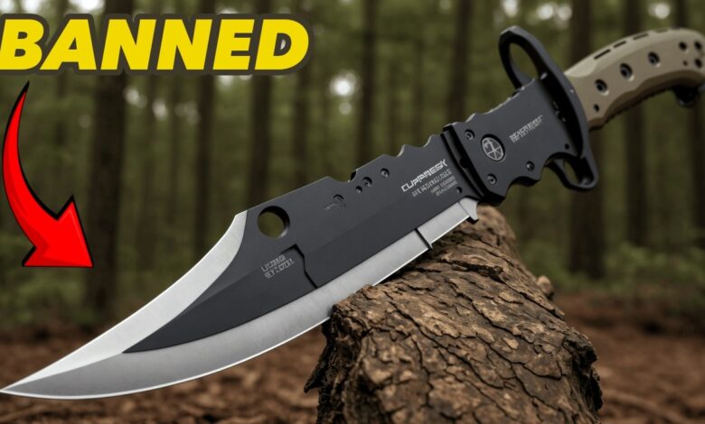 Top 10 Most Dangerous & Deadly Knives In The WORLD! COLD STEEL!