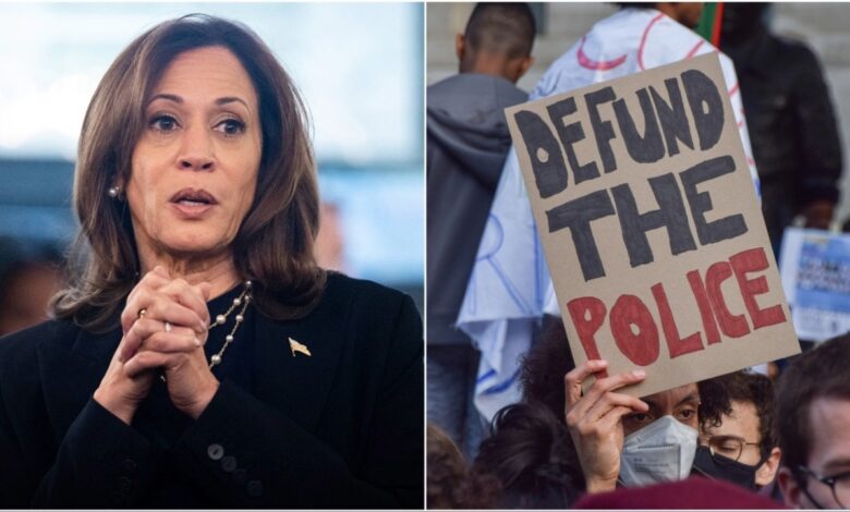 Harris campaign dishes out six-figure donations to groups who support defunding police, reparations