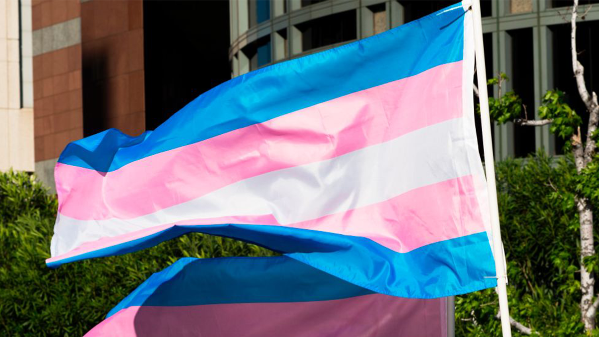 Transgender flag