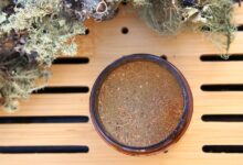 Making Usnea Powder for Your Wilderness First Aid Kit