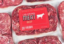 Desperate Lab-Grown Meat Industry Claims It Needs Government Subsidies to Survive