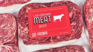 Desperate Lab-Grown Meat Industry Claims It Needs Government Subsidies to Survive