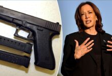 Kamala Harris claims she's got a gun, but Second Amendment supporters say good luck getting yours