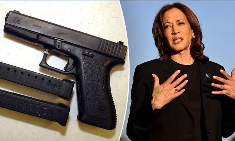 Kamala Harris claims she's got a gun, but Second Amendment supporters say good luck getting yours