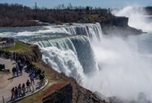 Woman jumps into Niagara Falls with 2 young sons in 'intentional act': police