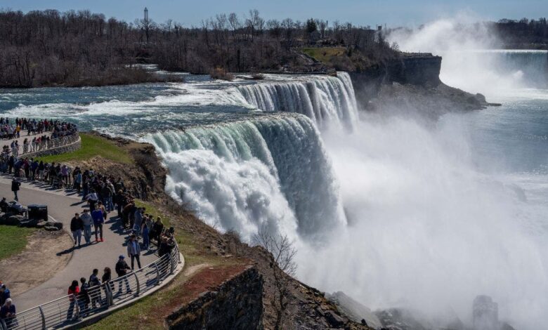 Woman jumps into Niagara Falls with 2 young sons in 'intentional act': police