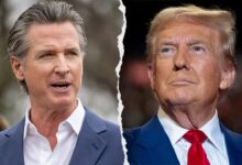 More than 40% of Californians voted for Trump, state 'not as liberal as Newsom' thinks, says expert