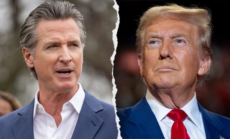 More than 40% of Californians voted for Trump, state 'not as liberal as Newsom' thinks, says expert